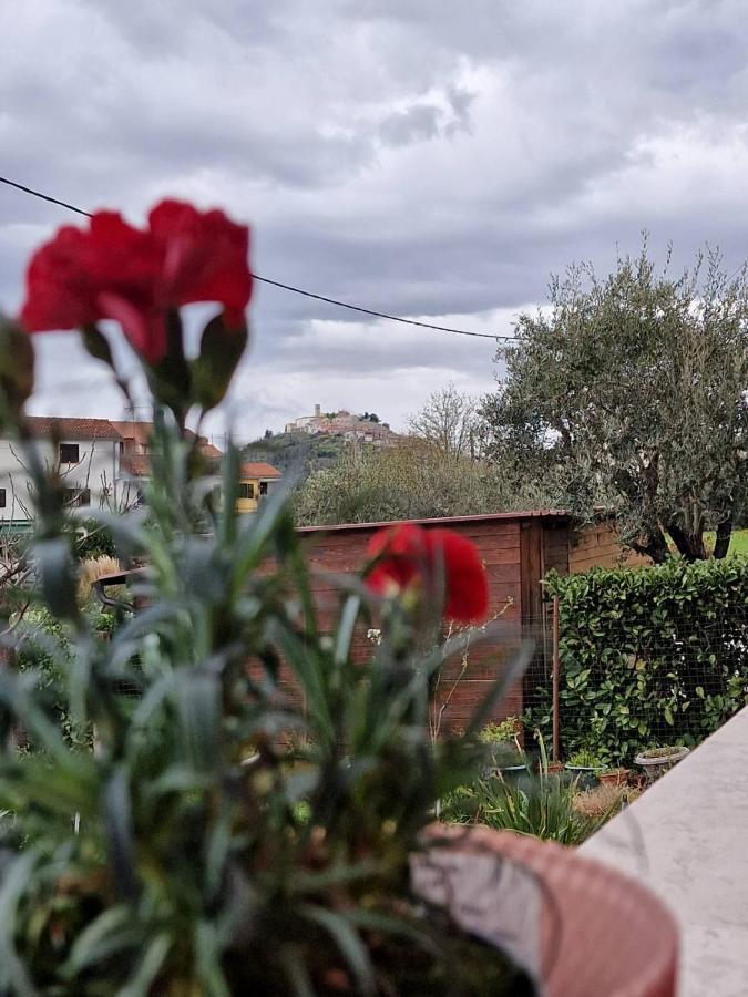 Apartman Sandro Мотовун Екстериор снимка